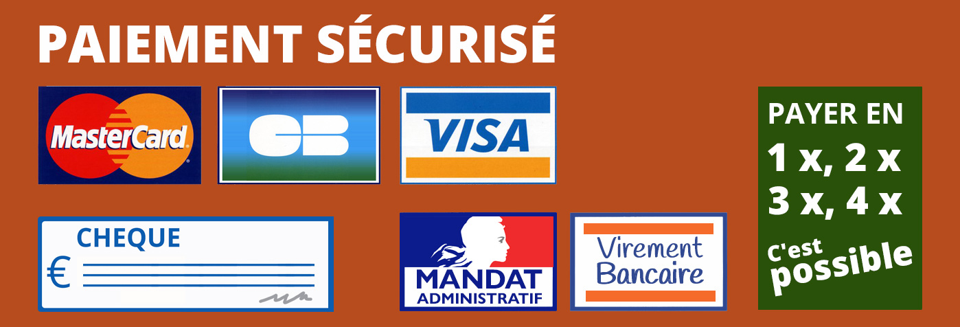 logo de paiment visa, carte bleue, virement bancaire
